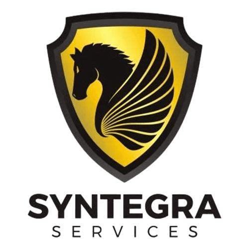 Syntegra Services logo